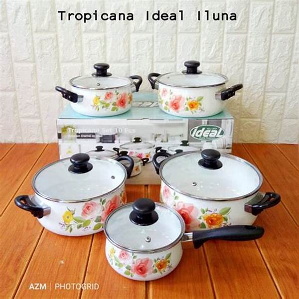Panci Enamel Ramah Lingkungan Dan Aman